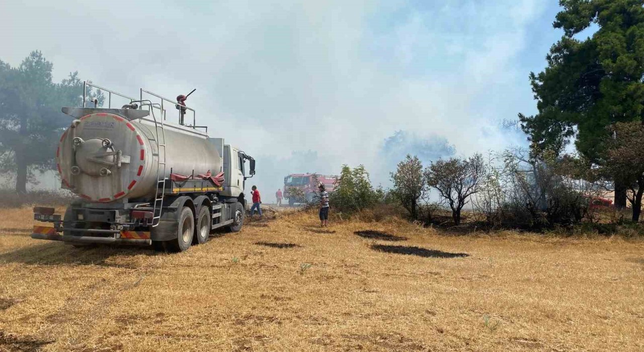 Çanakkalede orman yangını kontrol altına alındı