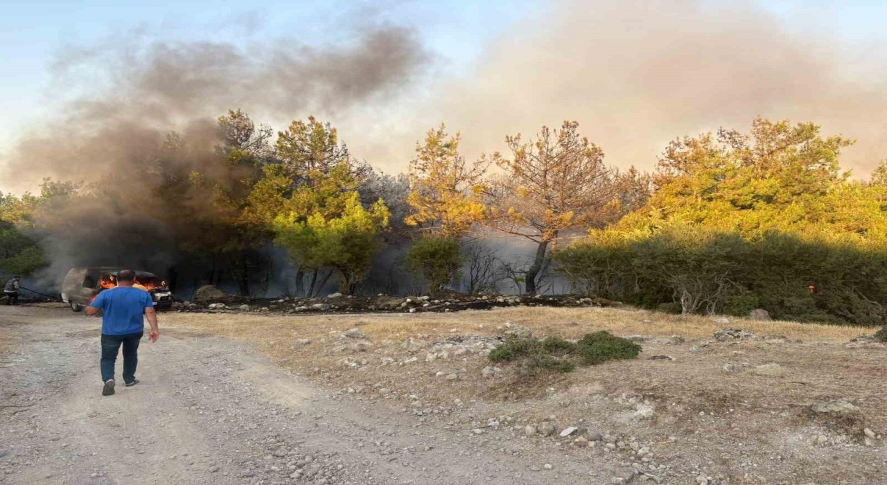 Çanakkalede park halindeki midibüste çıkan yangın ormana sıçradı