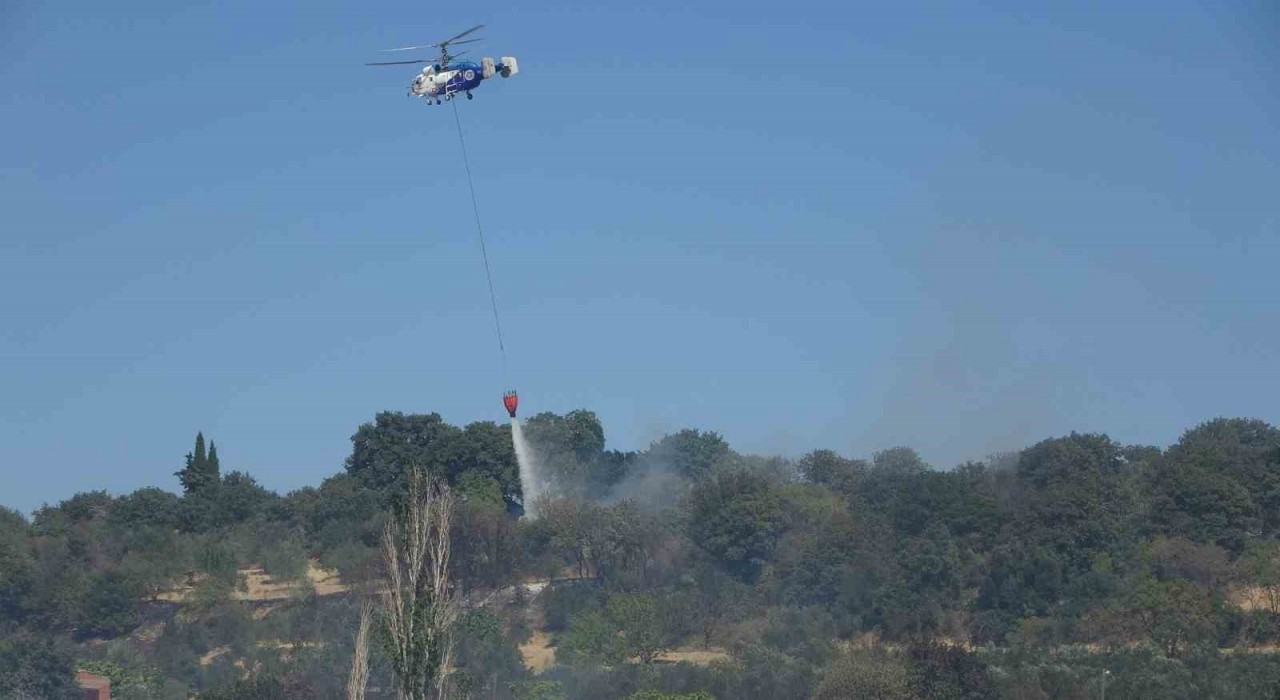 Çanakkalede tarım arazilerinde çıkan yangın kontrol altına alındı
