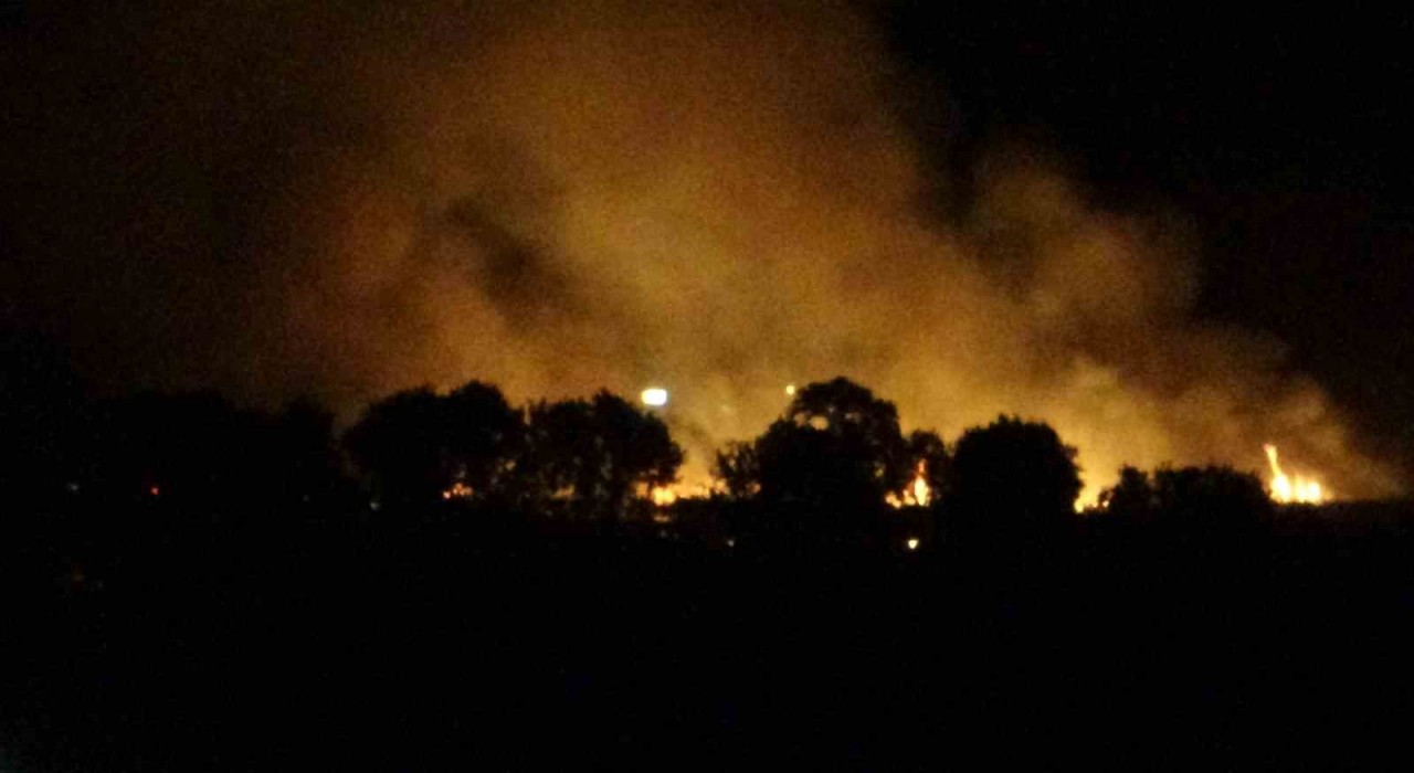 Çanakkalede tarım arazisinde çıkan yangın kontrol altına alındı