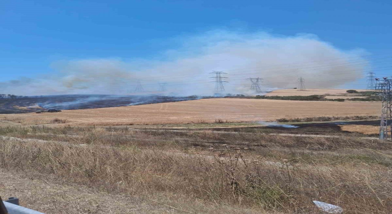 Çanakkalede tarım arazisinde çıkan yangın kontrol altına alındı