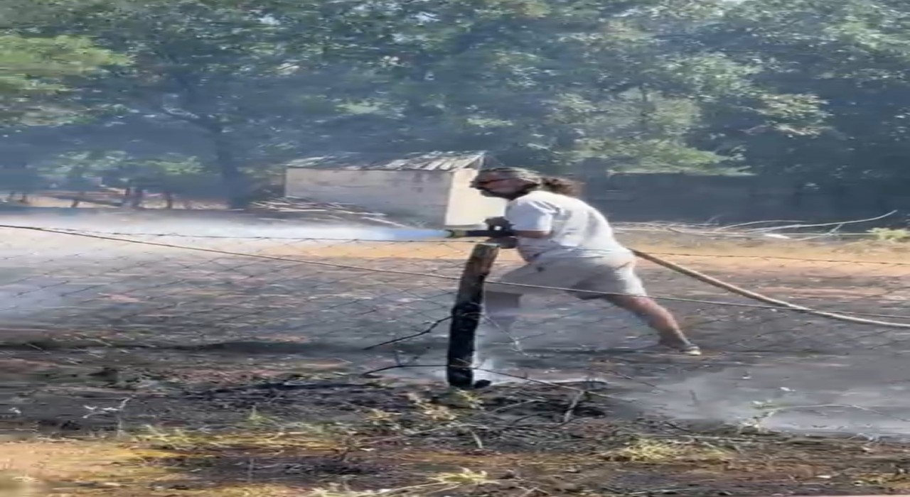 Çanakkalede yangın söndürme çalışmalarına ünlü oyuncudan destek