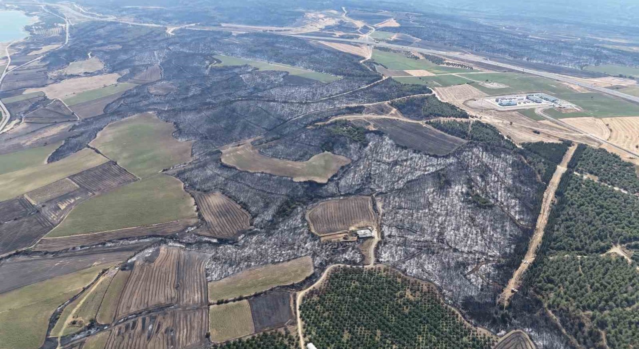 Çanakkaledeki orman yangını kontrol altına alındı