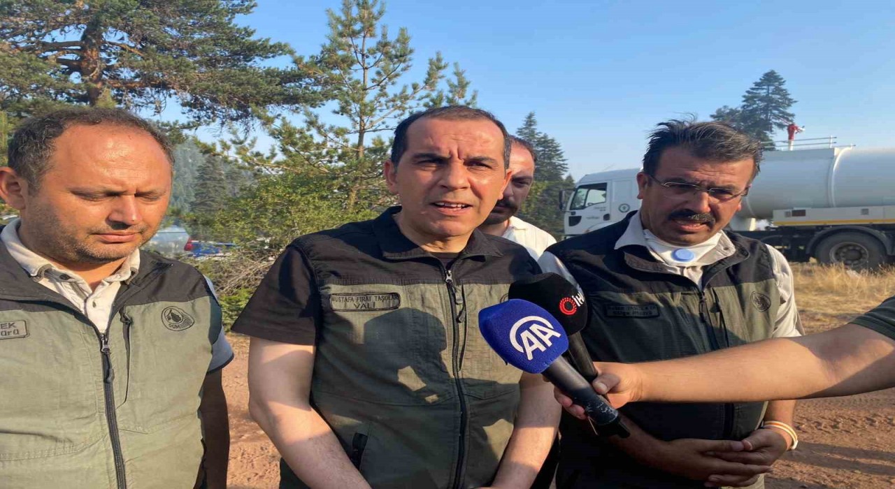 Çankırı Valisi Taşolar: Yangının ilerleyişi durduruldu
