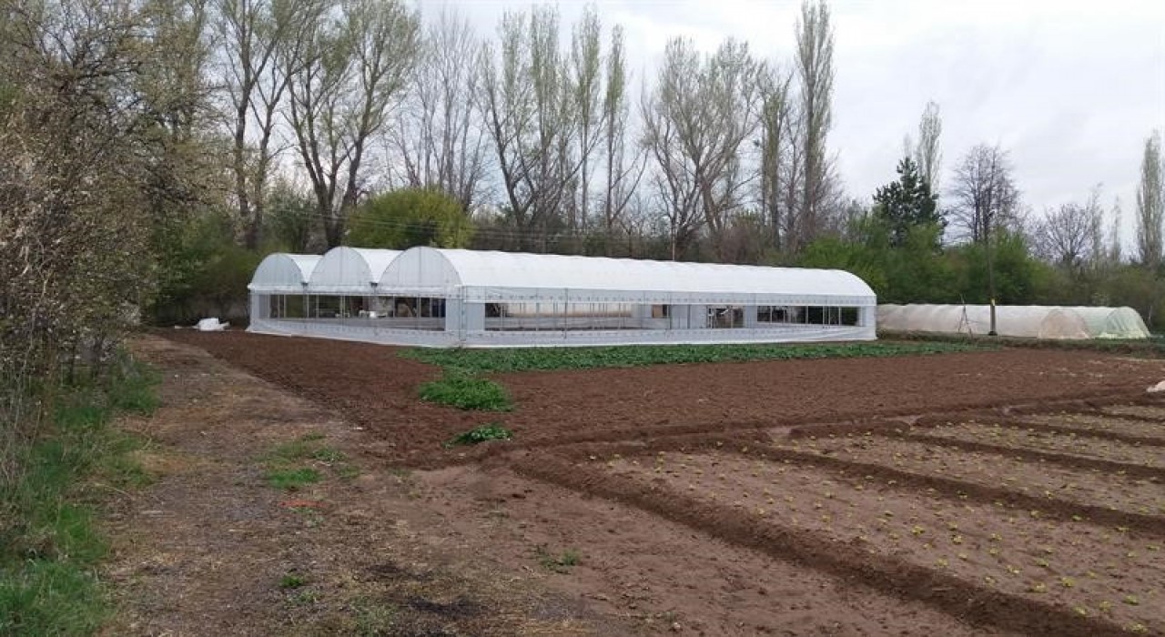 Çankırıda yenilenen seralar üretime yeniden can verildi