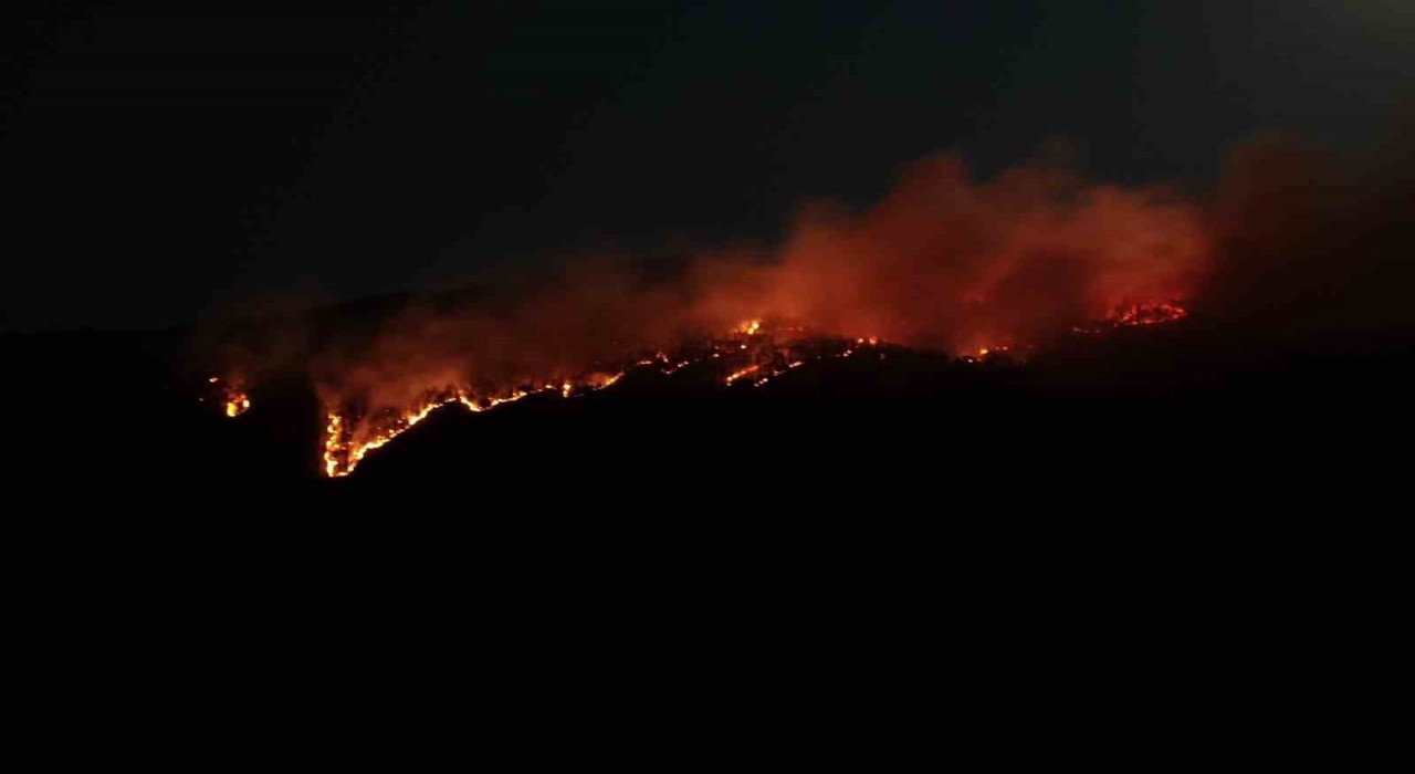 Çankırıdaki orman yangını havadan görüntülendi