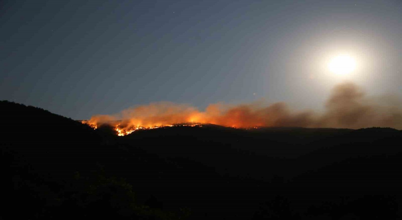 Çankırıdaki orman yangınında 40 hektar alan zarar gördü