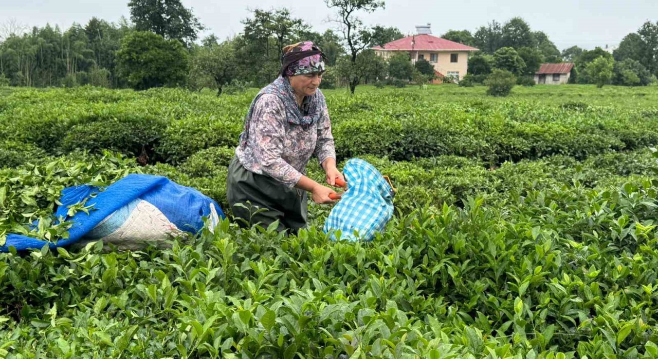 ÇAYKURdan 2. Sürgün için Aceleye getirmeyin uyarısı