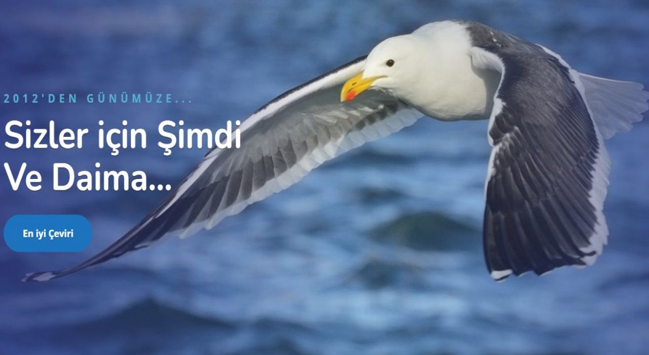 Çeviri ve Çeviri Ücretleri - Okeanostercume.com.tr