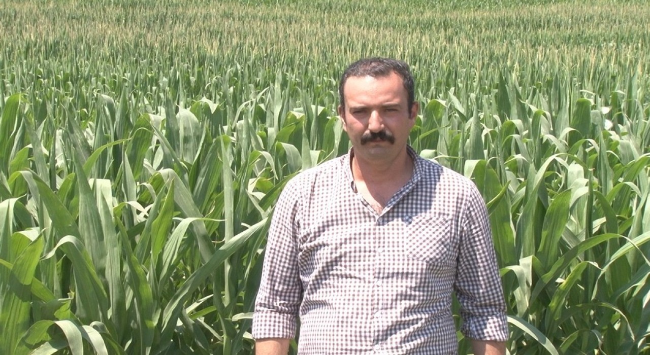 Çiftçiye sıcak hava uyarısı: Hastalık ve zararlılar arttı