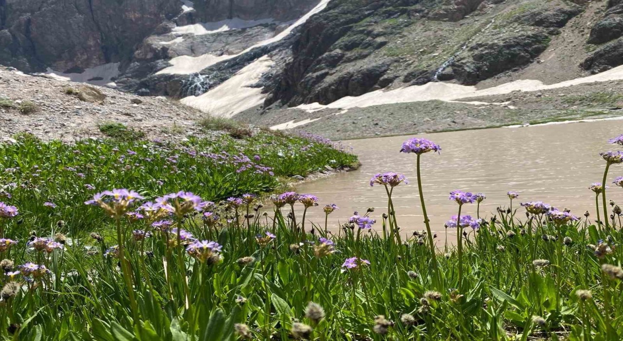 Cilo Dağında buzullar hızla eriyor