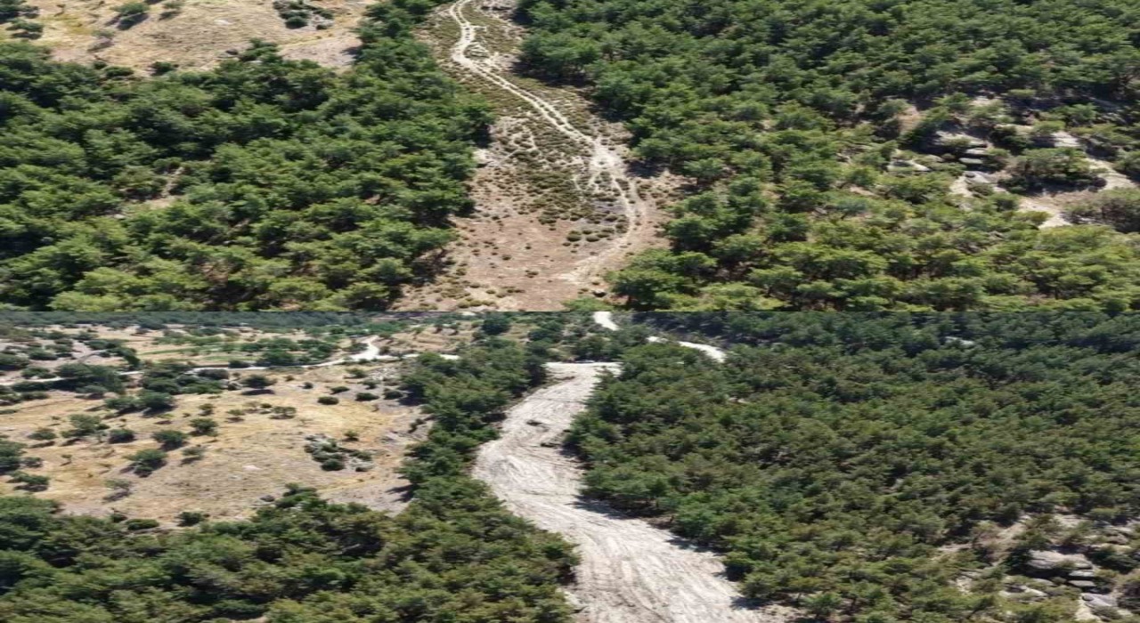 Çinede orman yangınlarına karşı önleyici temizlik çalışması yapıldı