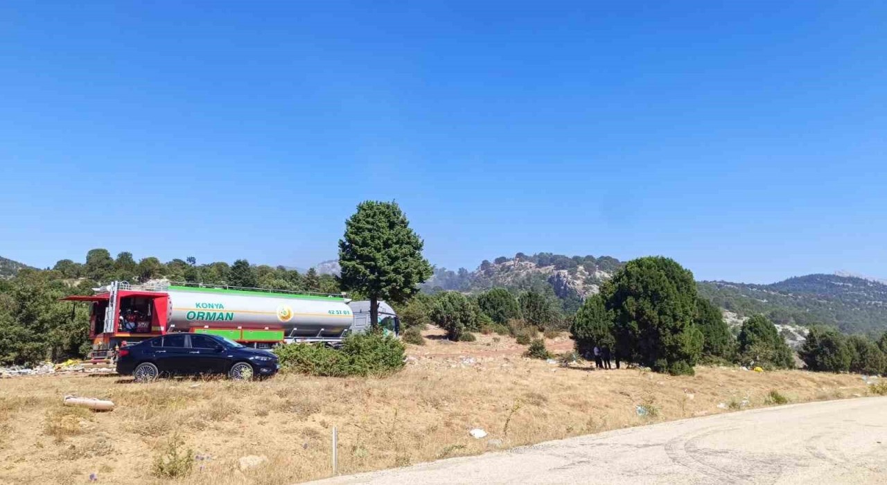 Çöplükte başlayan yangın ormana sıçradı