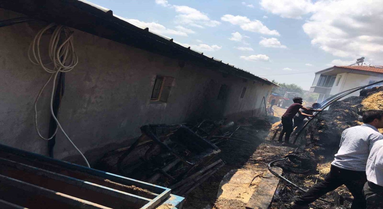 Çorumda çıkan yangında 550 balya ot kül oldu