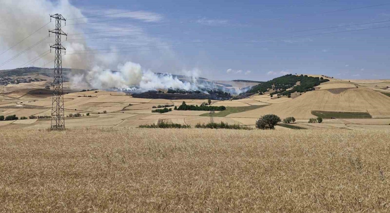 Çorumda tarlada çıkan yangında 200 dönüm ekili arazi kül oldu