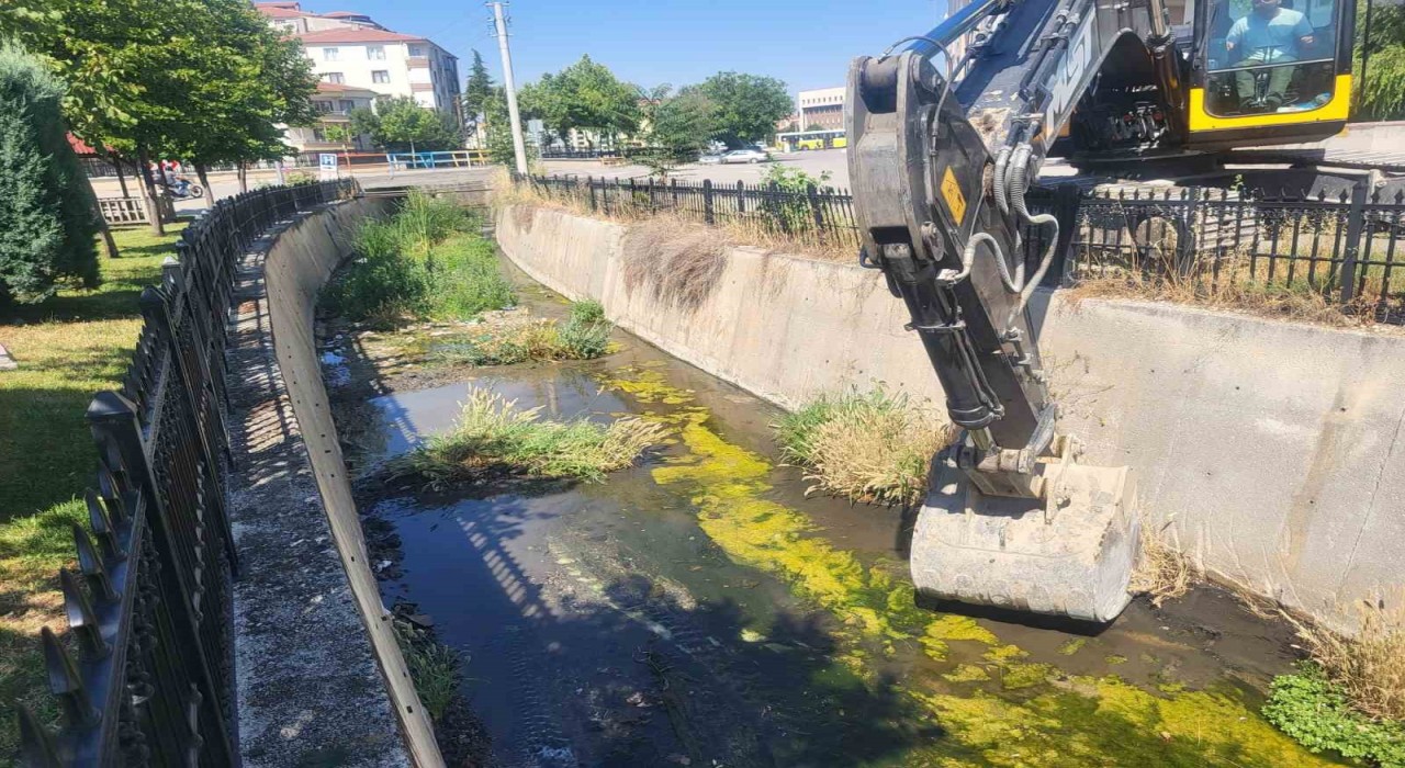 Çorumdaki derelerde temizlik çalışmaları sürüyor