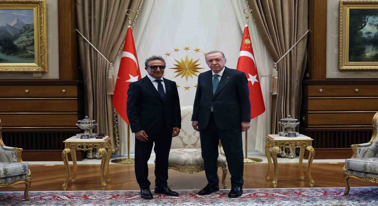 Cumhurbaşkanı Erdoğan, Hamdi Ulukayayı kabul etti