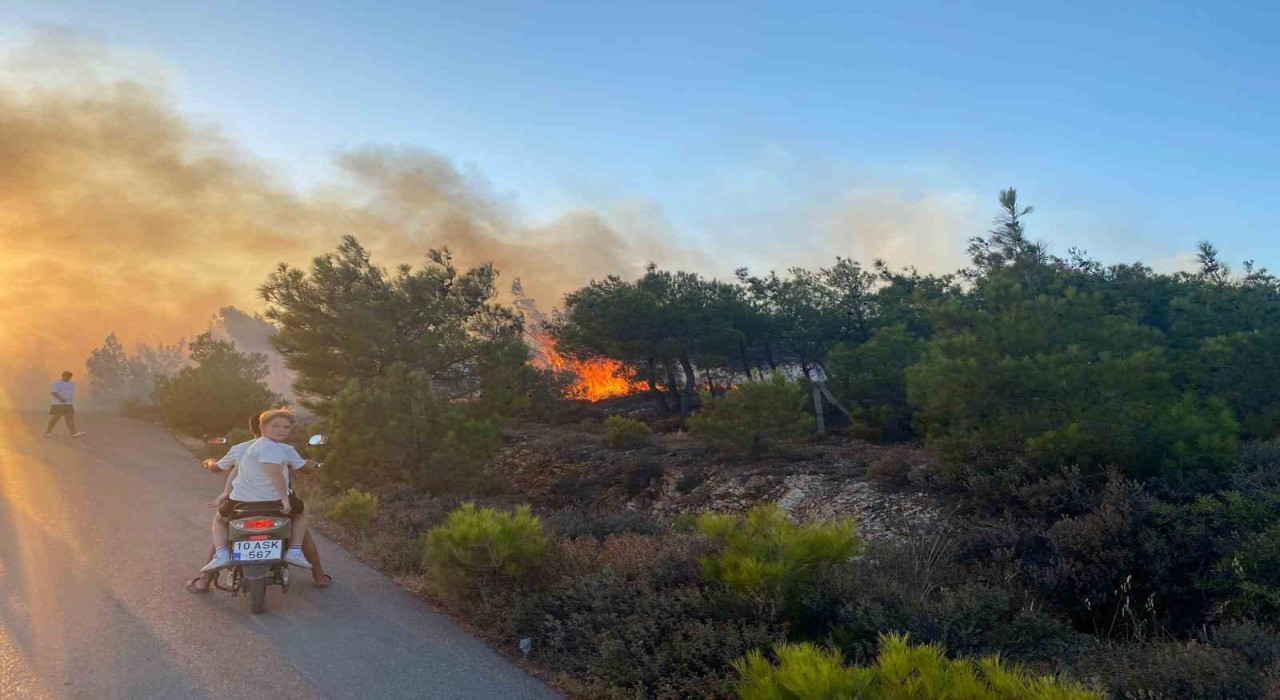 Cunda Adasındaki orman yangını büyümeden söndürüldü