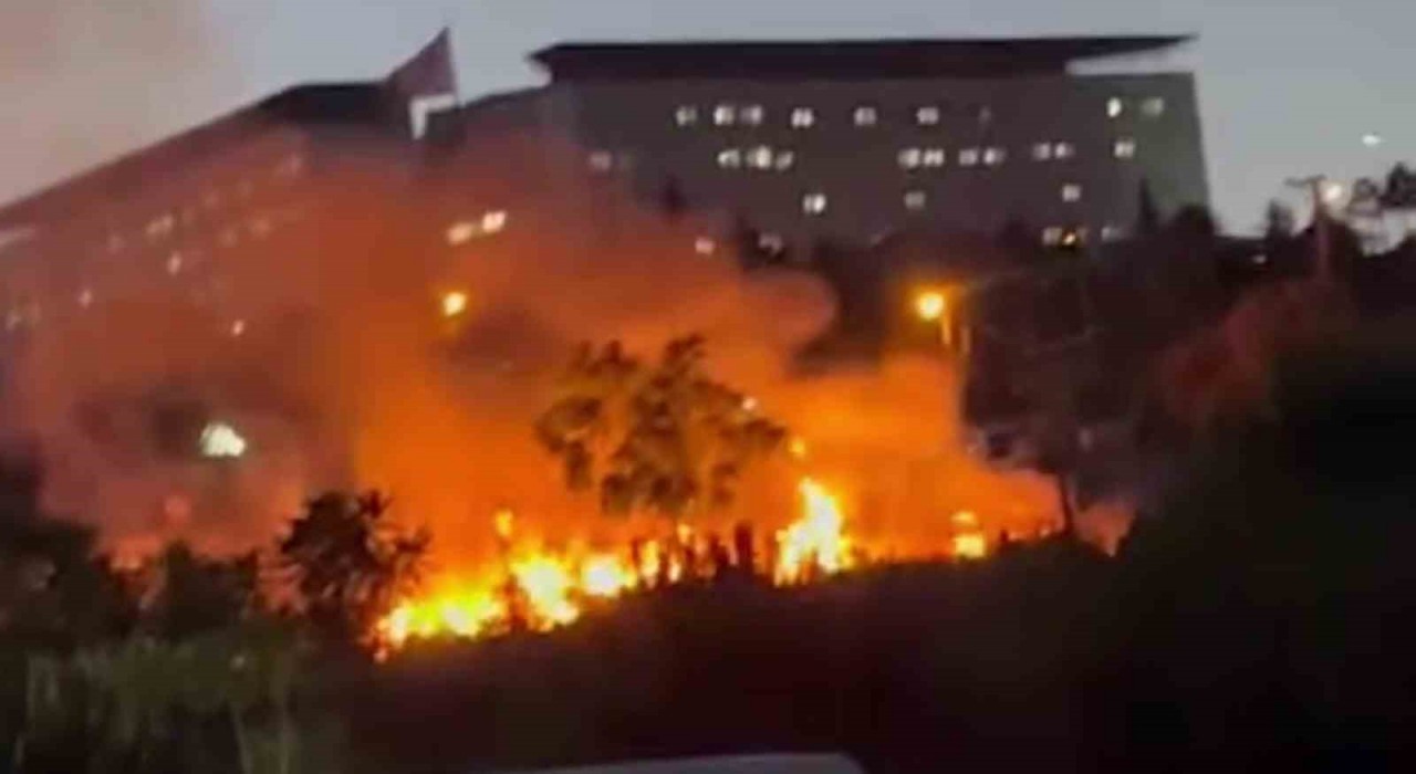 Darıca Millet Bahçesinde çıkan yangın söndürüldü