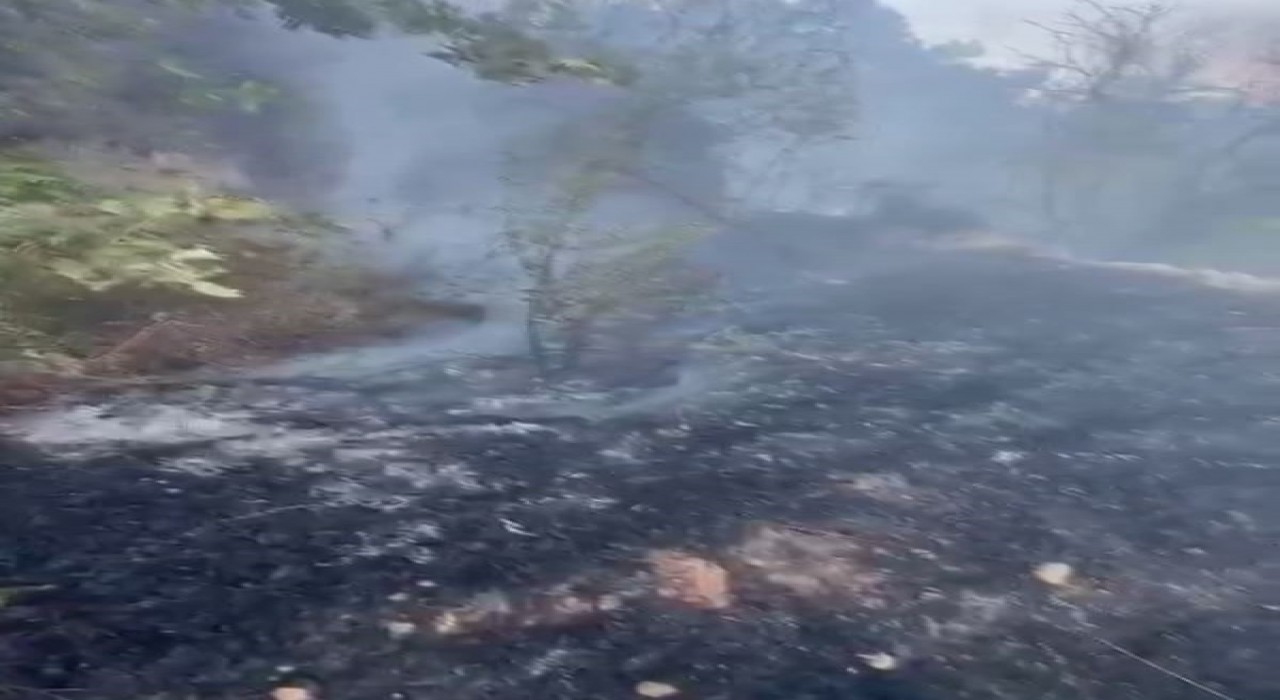 Datçada kuru ot yangını korkuttu