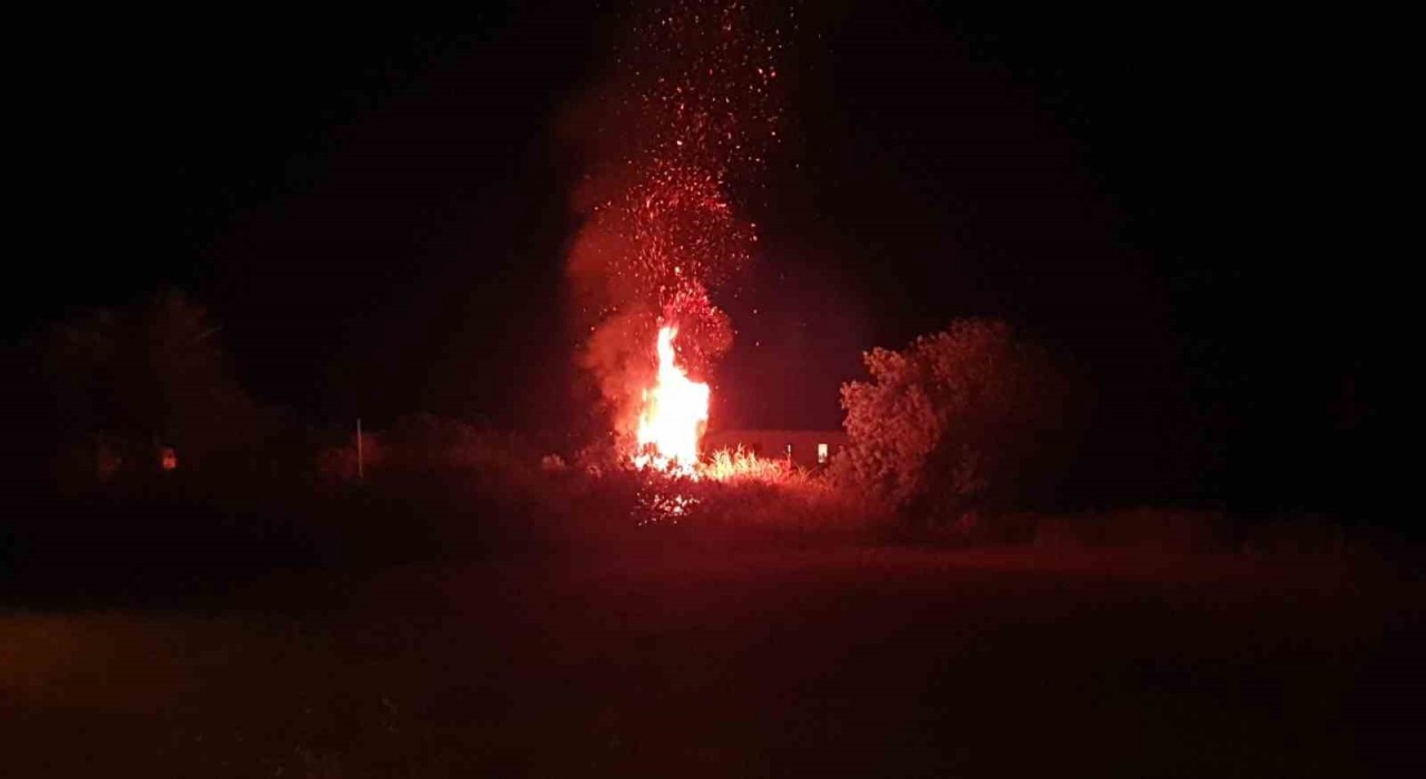 Datçada otluk alandaki yangın büyümeden söndürüldü