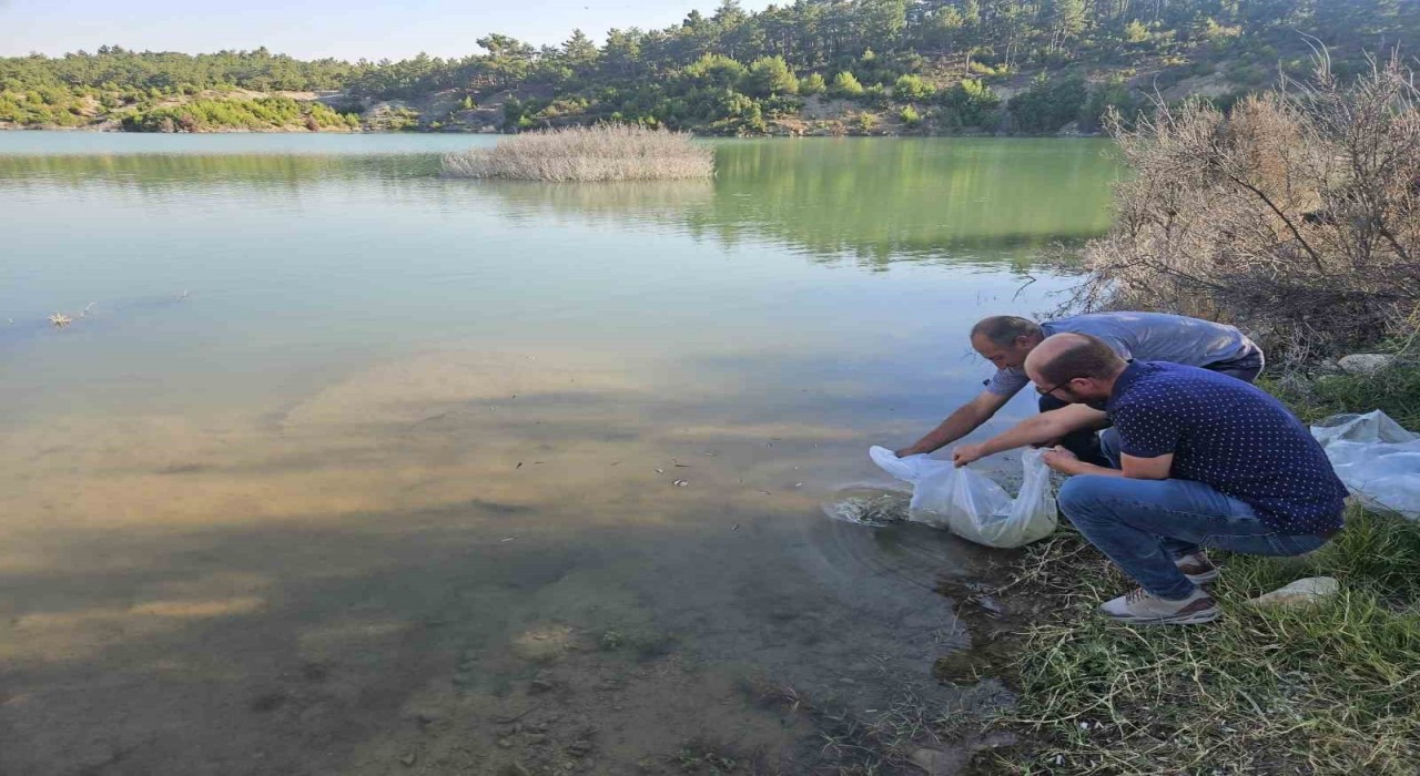 Dazkırıdaki Çiftlik köyü baraj göletinde balıklandırma yapıldı