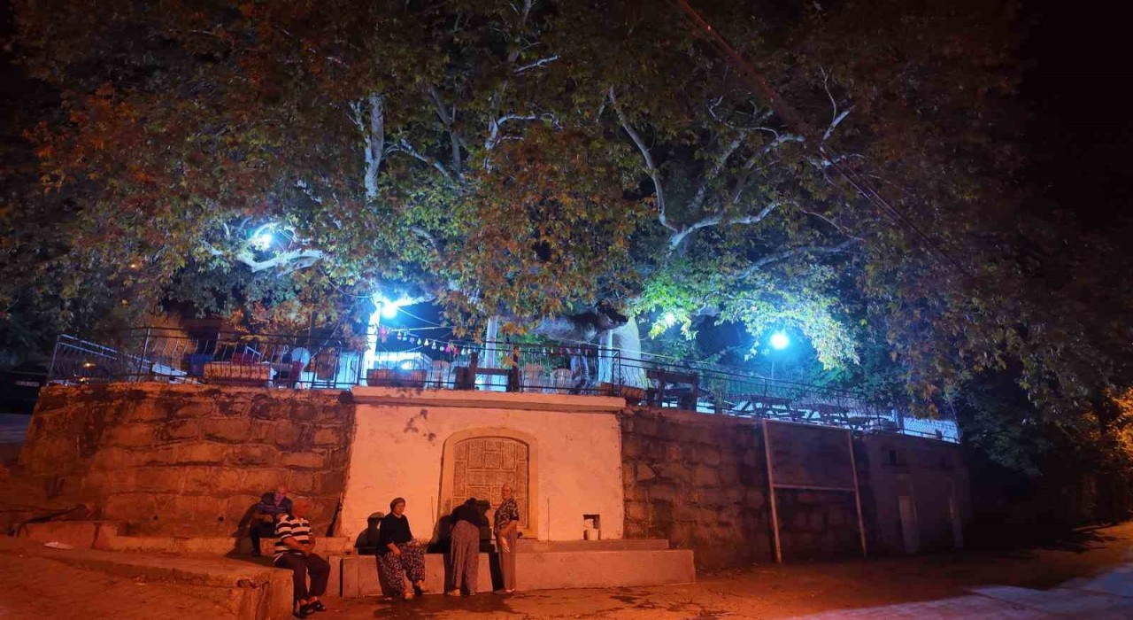 Demircide 2 bin yıllık anıt çınarda odun ateşinde çay