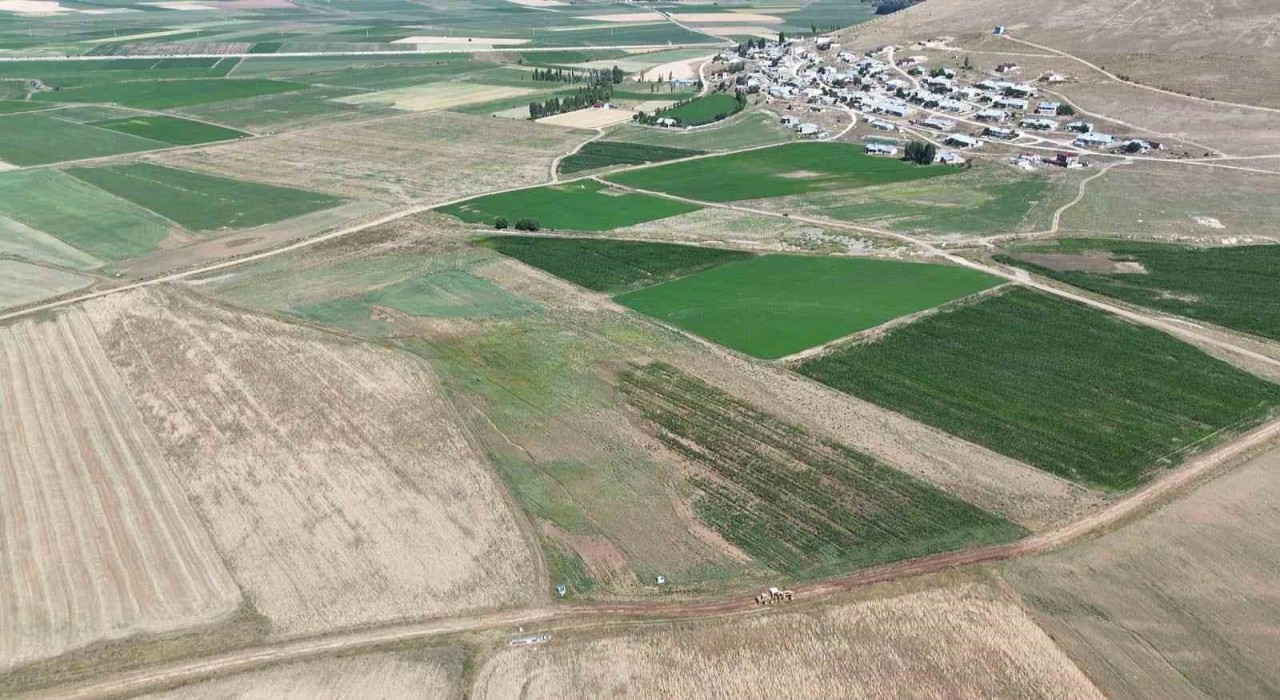 Demirözünde tarla içi yolların yapımına başlandı