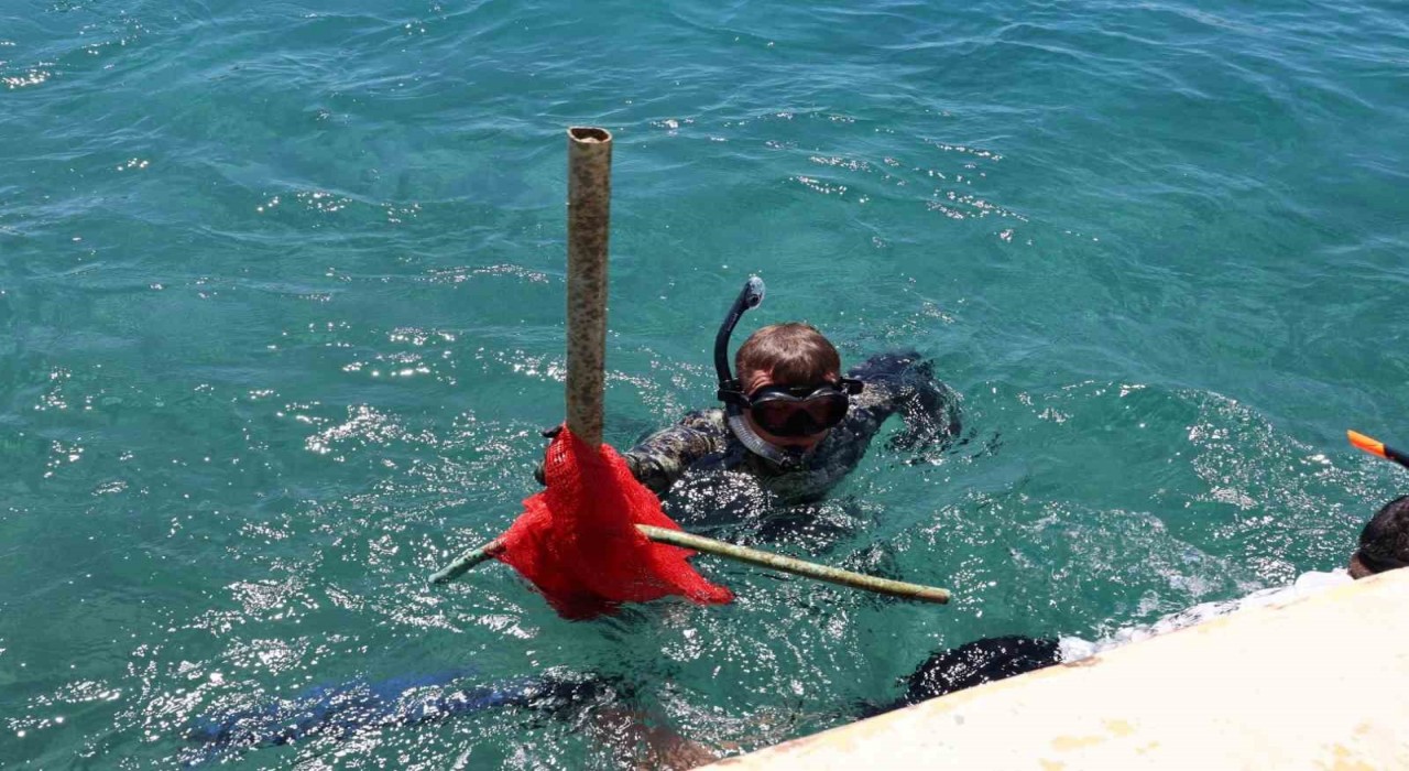 Deniz Dibi Temizliği Türkbükünde devam etti