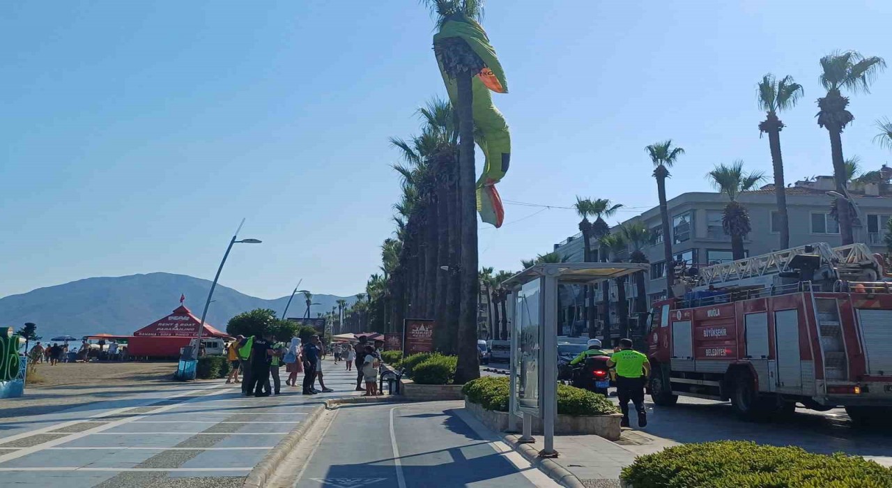 Deniz paraşütü palmiyeye takıldı