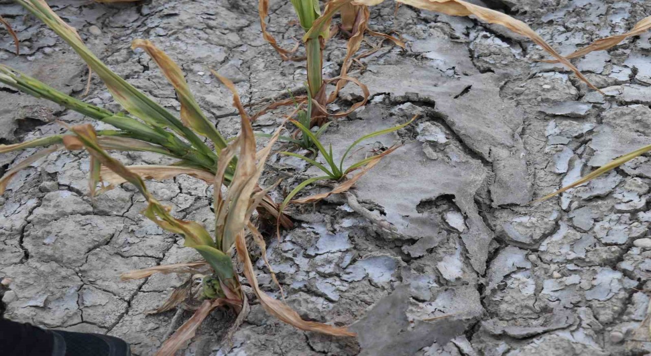 Denizli DESKİnin ihmalini TBMMye taşıyan Vekil; CHPli belediyenin çevreci maskesi düştü