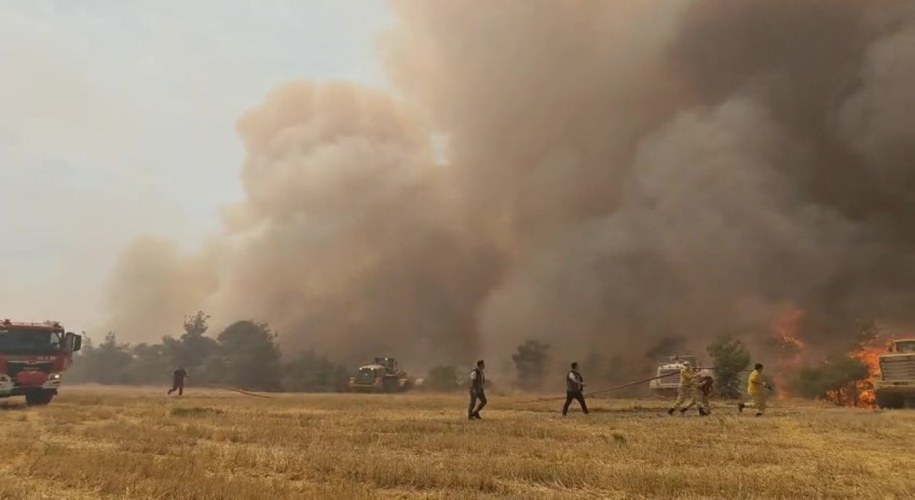 Denizlide çıkan orman yangını kontrol altına alındı