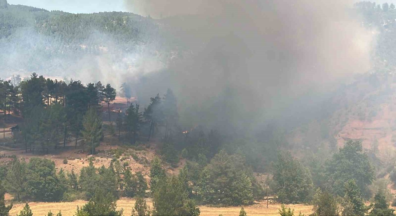 Denizlide orman yangını