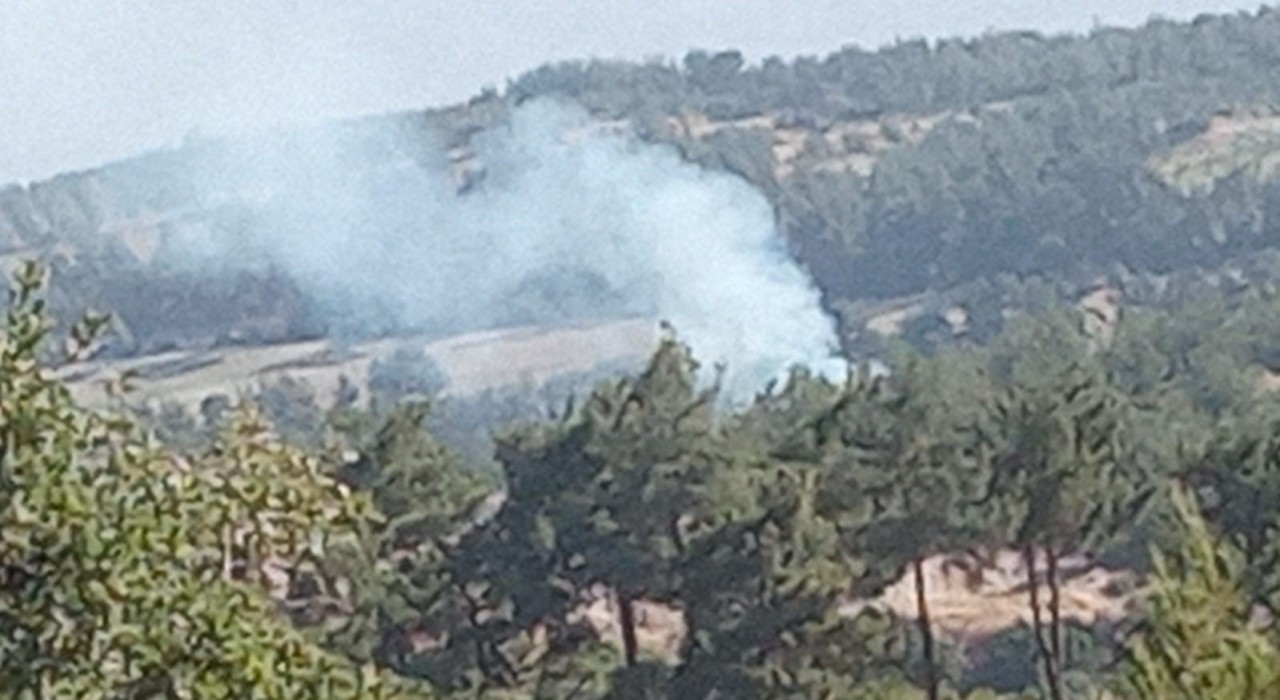 Denizlide sabaha karşı başlayan orman yangını hızlı müdahaleyle söndürüldü