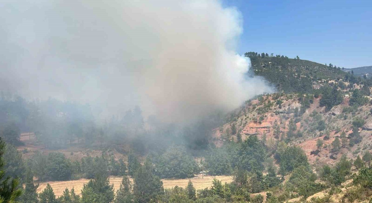 Denizlideki orman yangını kısmen kontrol altına alındı