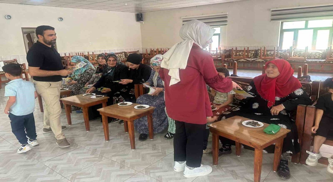 Dicle Elektrikten kırsalda kadın ve çocuklara enerji tasarrufu eğitimi