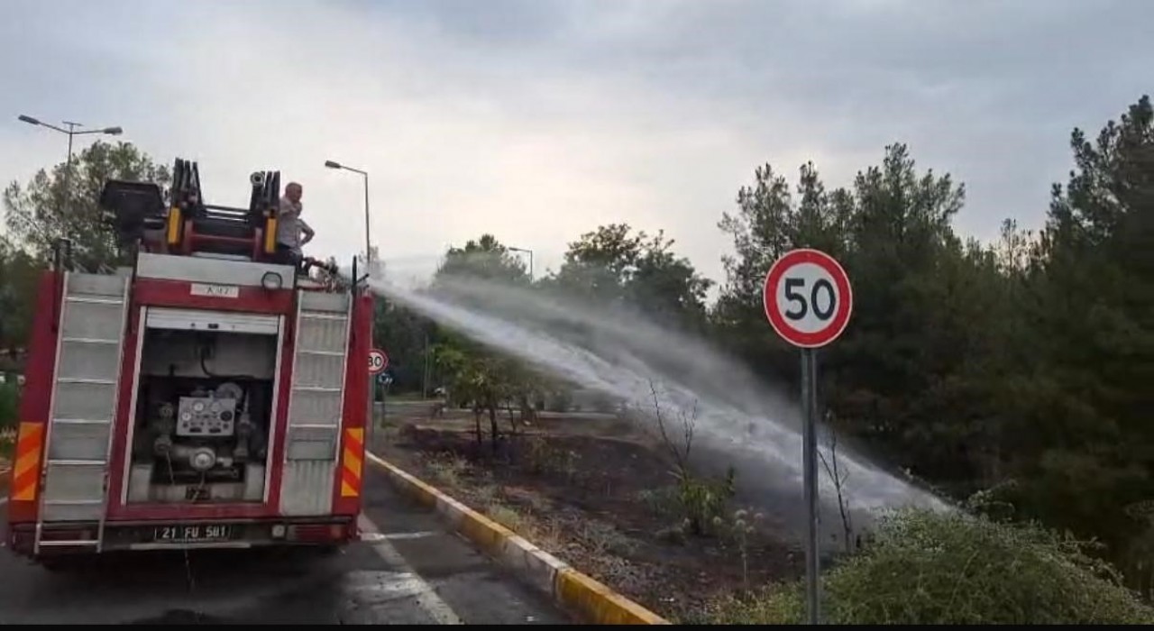 Dicle Üniversitesindeki örtü yangını söndürüldü