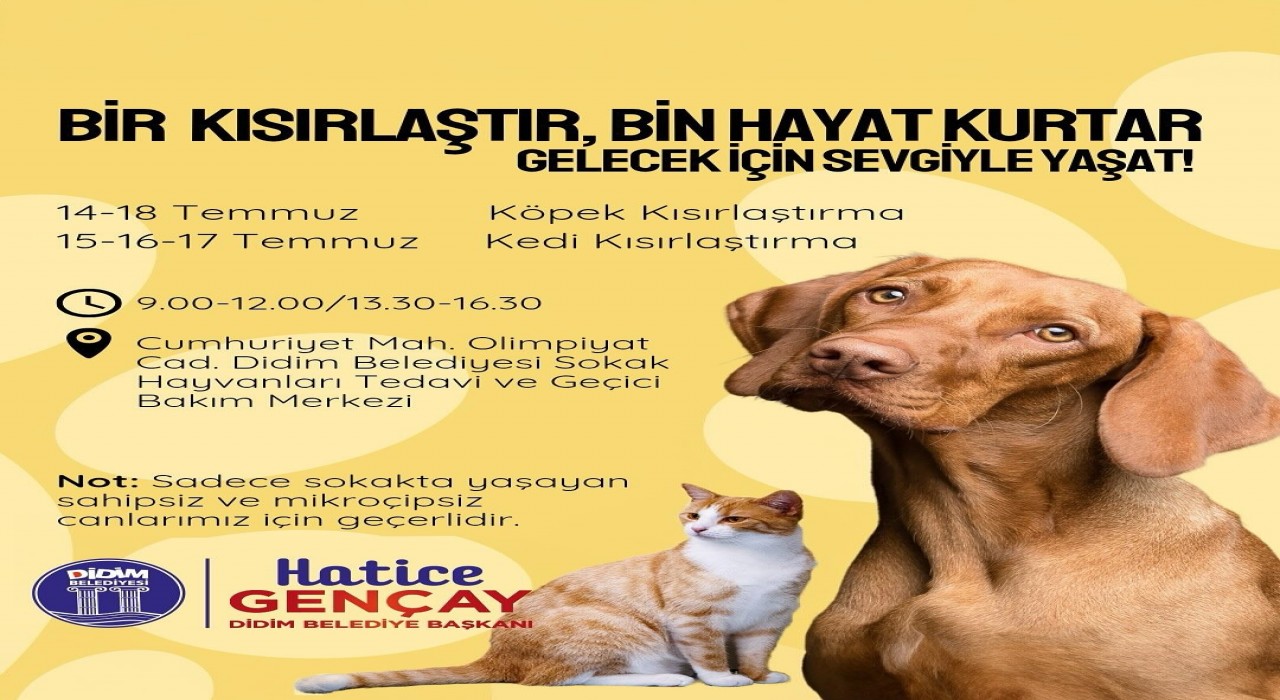 Didim Belediyesinden sokak hayvanlarına ücretsiz kısırlaştırma hizmeti