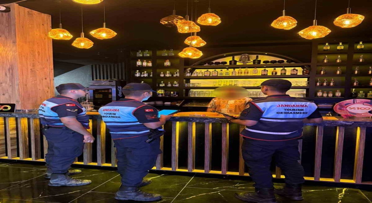Didim ve Sultanhisarda 404 şahıs, 101 araç sorgulandı
