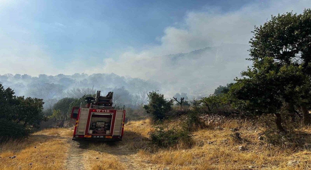 Diyarbakırda çıkan orman yangınına 9 saattir müdahale devam ediyor