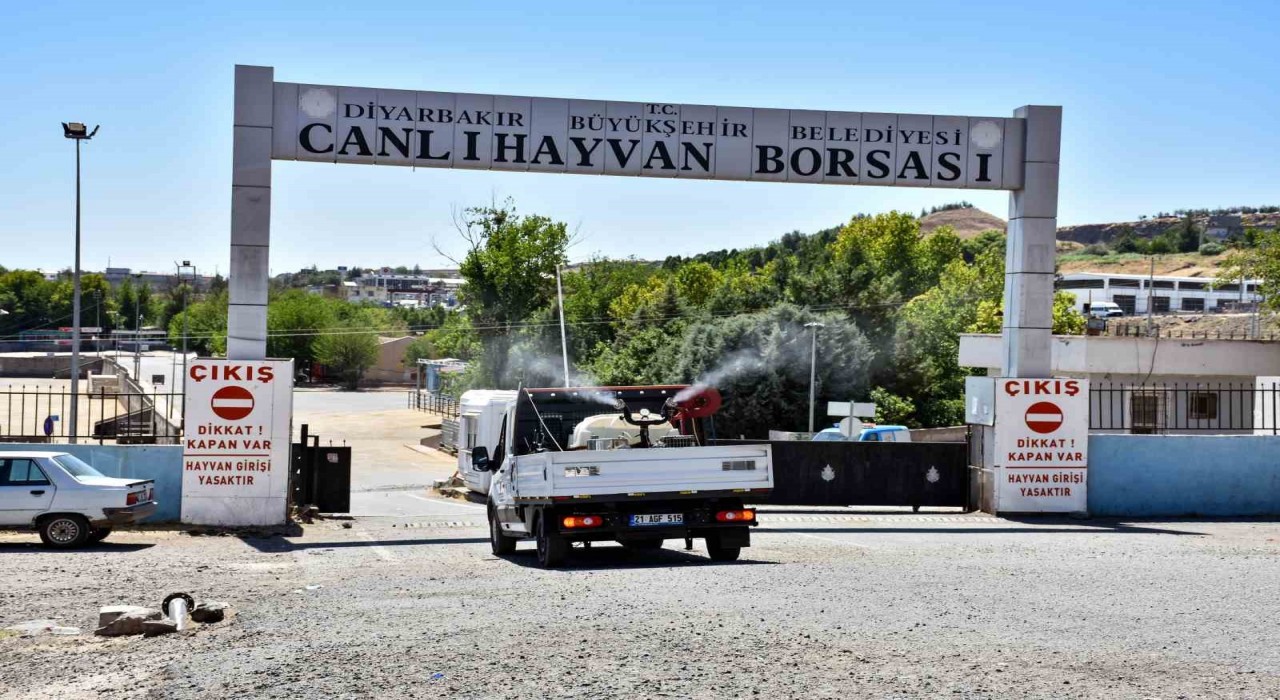 Diyarbakırda kapatılan Canlı Hayvan Borsası ilaçlanıp dezenfekte edildi