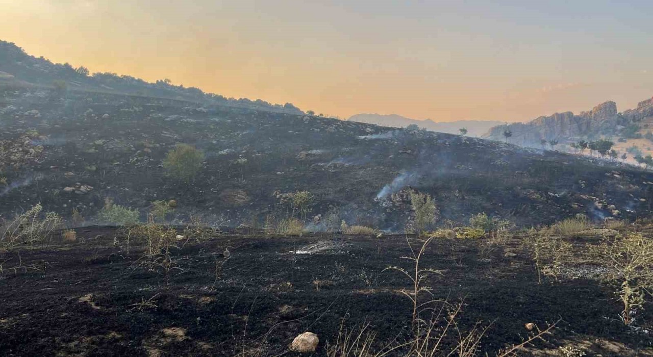 Diyarbakırda merada başlayan yangın ormanlık alana yayıldı