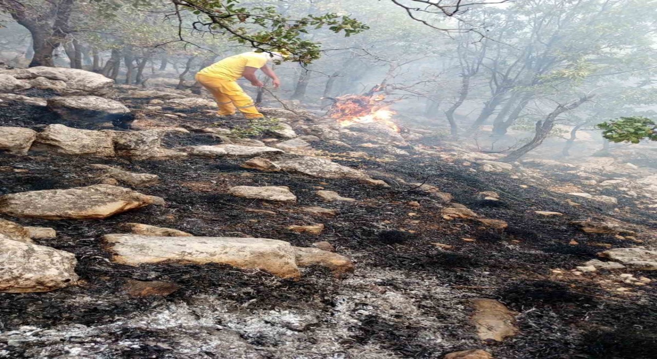 Diyarbakırda orman yangınına helikopter destekli müdahale sürüyor
