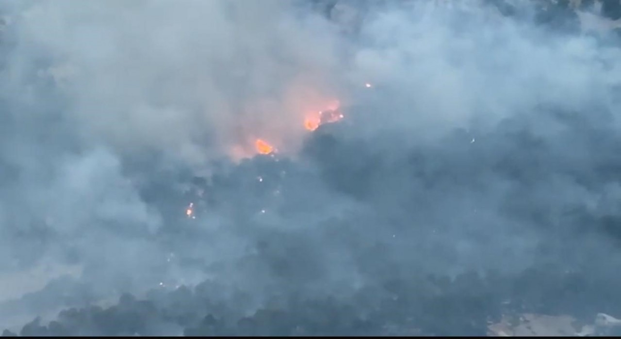 Diyarbakırda ziraat arazisinde başlayıp ormanlık alana sıçrayan yangın 10 saat sonra söndürüldü