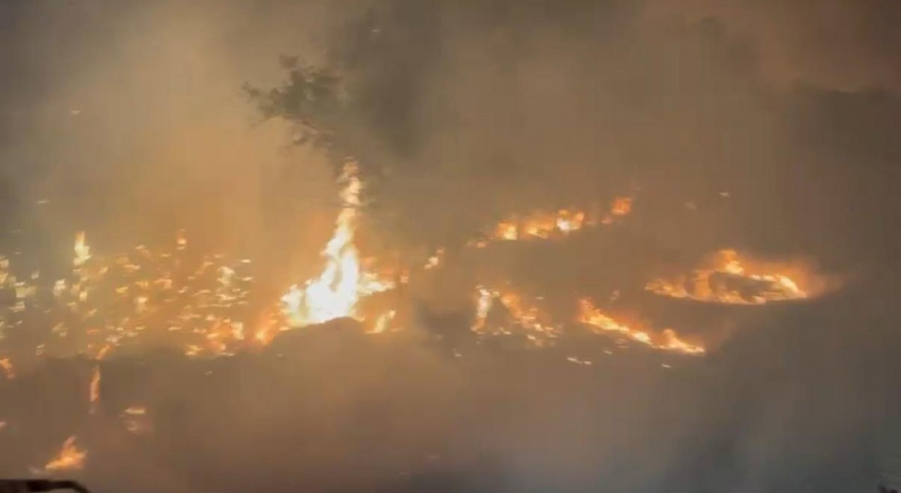 Diyarbakırın Ergani ve Lice ilçelerindeki yangın söndürüldü