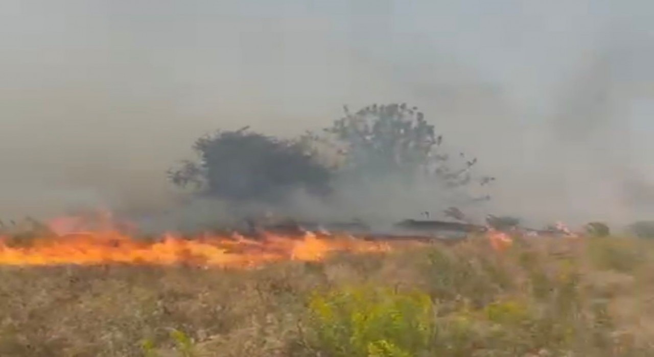 Doğanyolda bahçe yangını