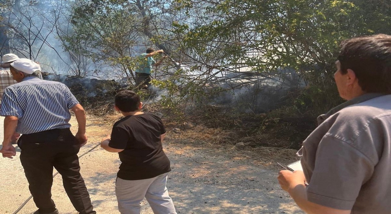Domaniçte bahçelik alanda çıkan yangın kısa sürede kontrol altına alındı