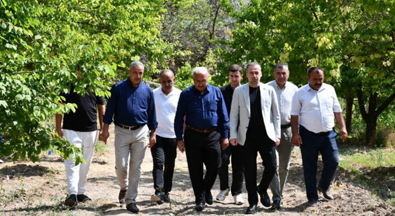 Don Felaketi Malatya’da Kayısı Üreticisini Vurdu: Çiftçi Destek Bekliyor