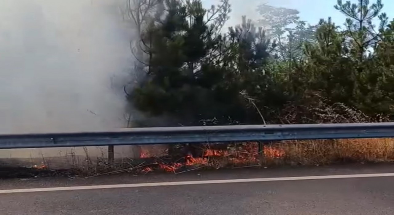 Düğün konvoyundaki meşale çamlık alanı yaktı