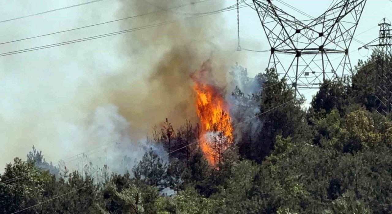 Düzce - Sakarya sınırında çıkan orman yangınına müdahale sürüyor